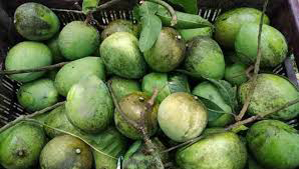 Image description